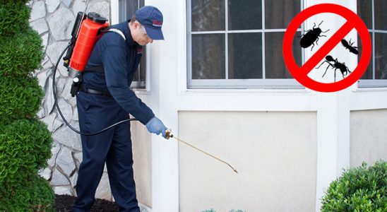 Gölköy Bit İlaçlama böcek ilaçlama ve haşere kontrolü — ilaclama-tr.com